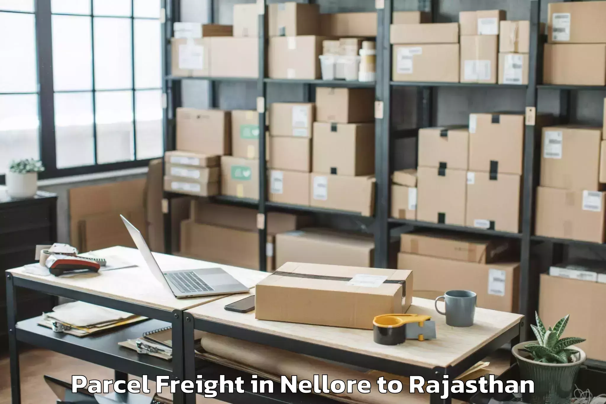 Top Nellore to Kishangarh Bas Parcel Freight Available